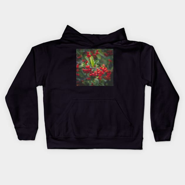 Berries Kids Hoodie by CarlaSophia